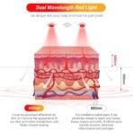 ⁦جهاز العلاج بالضوء الأحمر 660nm و880nm – دعم احترافي لتخفيف آلام العضلات والمفاصل⁩ - الصورة ⁦3⁩