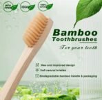 ⁦فرشاة أسنان Bamboo Eco – صديقة للبيئة وقابلة للتحلل الحيوي⁩ - الصورة ⁦6⁩