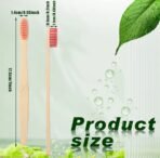 ⁦فرشاة أسنان Bamboo Eco – صديقة للبيئة وقابلة للتحلل الحيوي⁩ - الصورة ⁦5⁩